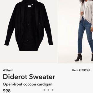 Aritzia Wilfred Diderot Sweater